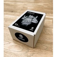 Nirgal Resin Bust – 110mm Chaos Warrior | Limited Edition